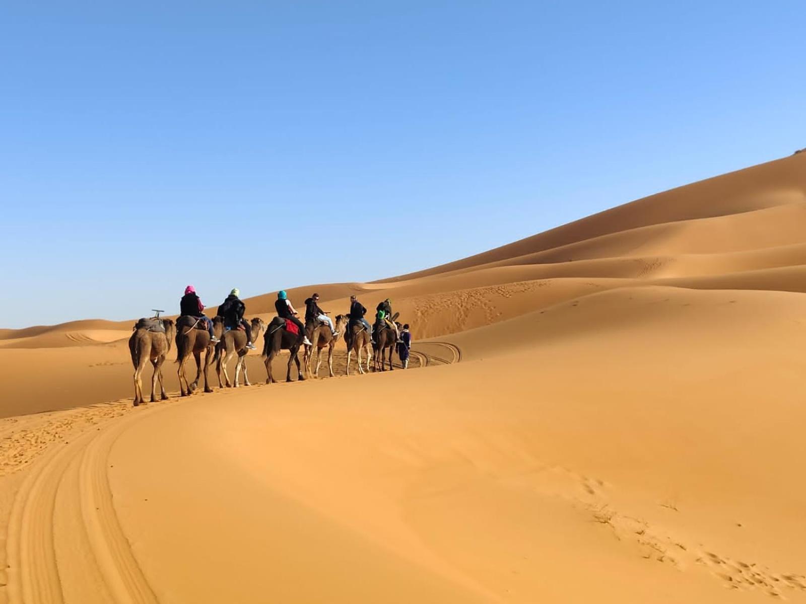 Erg Chebbi Starlight Camp Hotel เมอร์ซูกา ภายนอก รูปภาพ